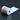 Apothekenrollen 70x65x12 (40m) - Normalpapier - Bonrollen